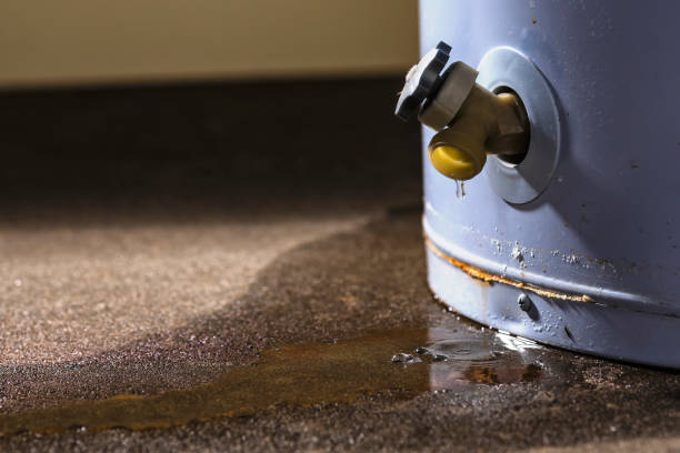 Best Fire Damage Restoration  in Gorman, NC