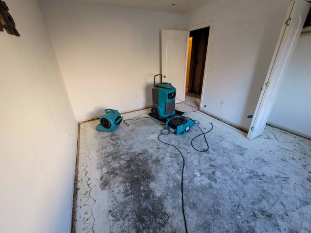 Best Ceiling water damage repair  in Gorman, NC