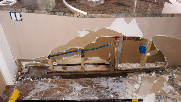 Best Basement water damage restoration  in Gorman, NC