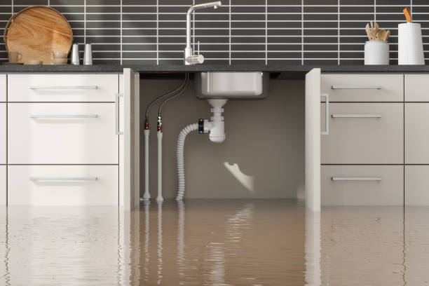 Water damage restoration mold remediation in Gorman, NC