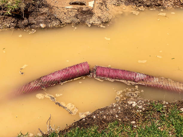 Best Water damage restoration near me  in Gorman, NC